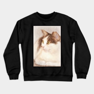 What's Going On Over There? Crewneck Sweatshirt